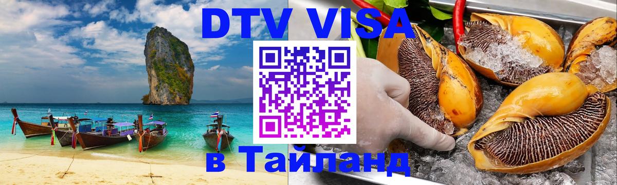 Оформление DTV визы под ключ: стоимость и тарифы, только загранпаспорт - Коломна 